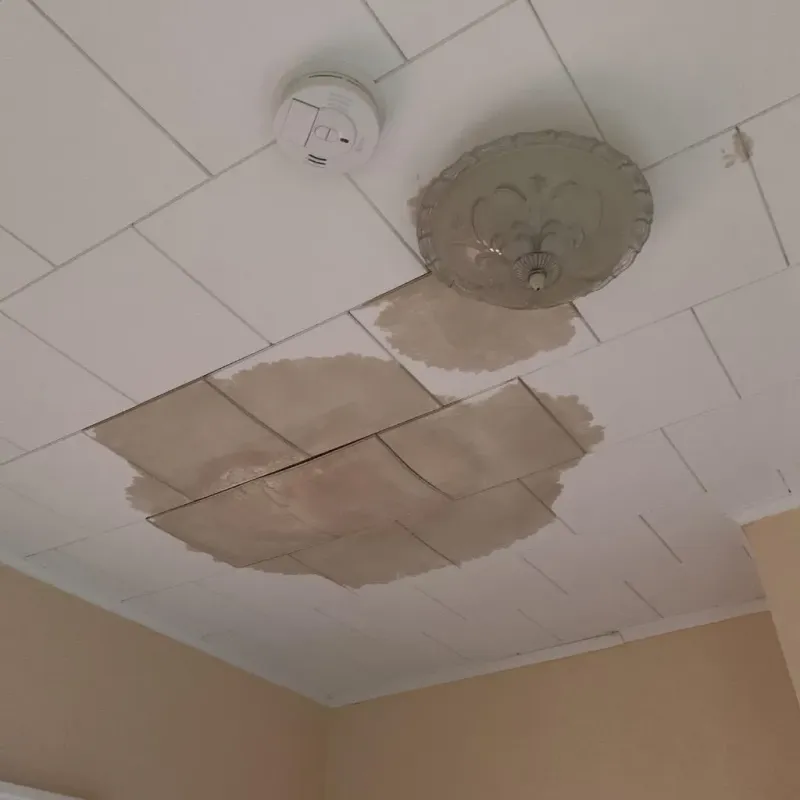 Ceiling Water Damage Repair in Peebles, OH