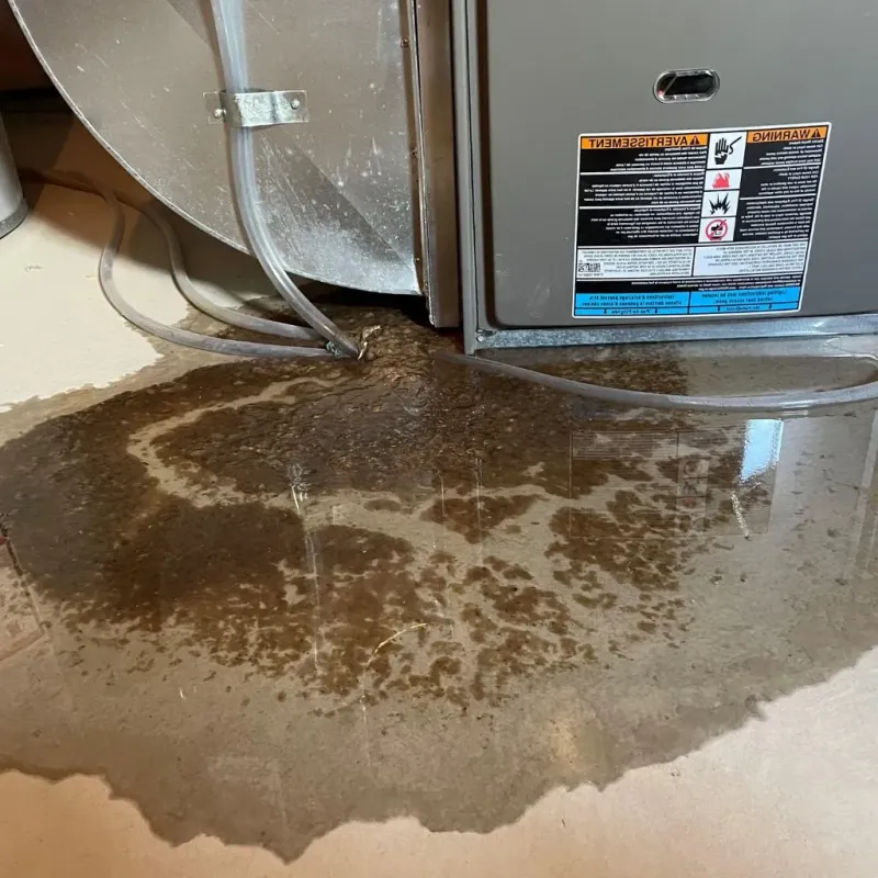 Pipe Burst and Leak Restoration in Peebles, OH