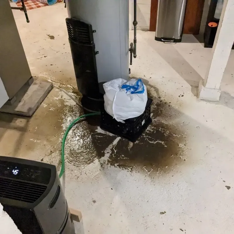 Sewage Backup Cleanup Service in Peebles, OH